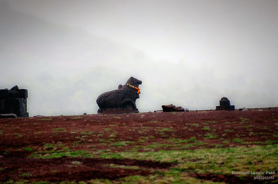 10433893_10152512662795295_1967743162892752460_n