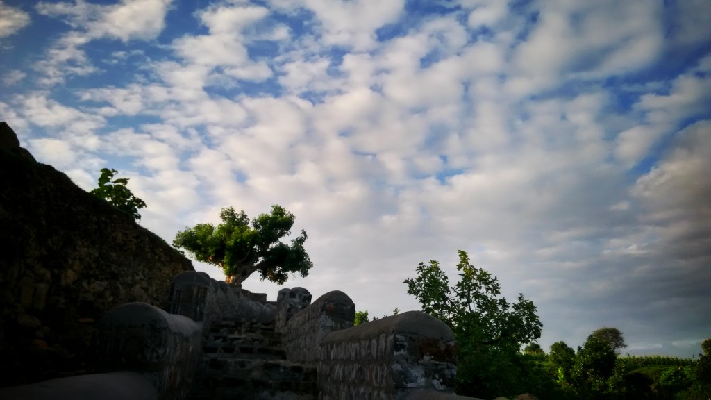 IMG_20150815_070835_HDR-01