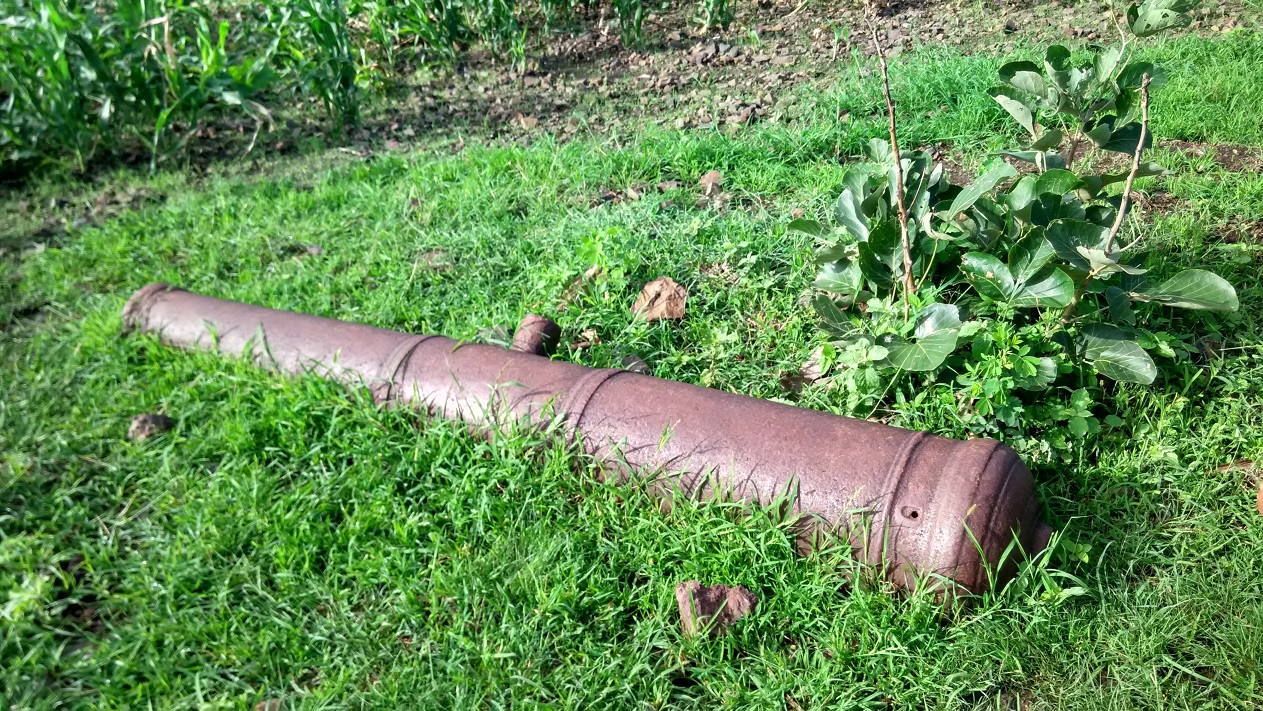 IMG_20150815_080746_HDR