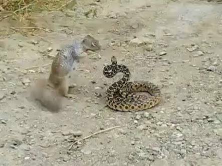 15078574_10154559415245295_1139706909870007701_n