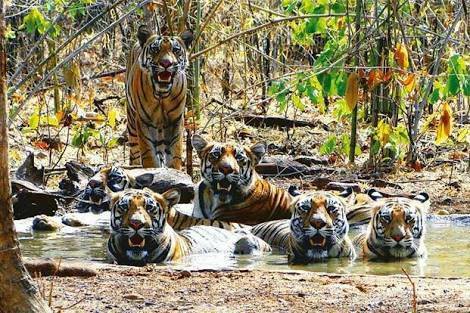 15672697_10154711418800295_4636106056427977642_n