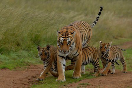 19420743_10155266836275295_5502839332433178679_n